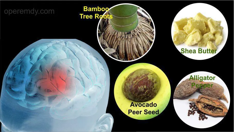 6 Natural Remedies for Stroke or High Blood Pressure