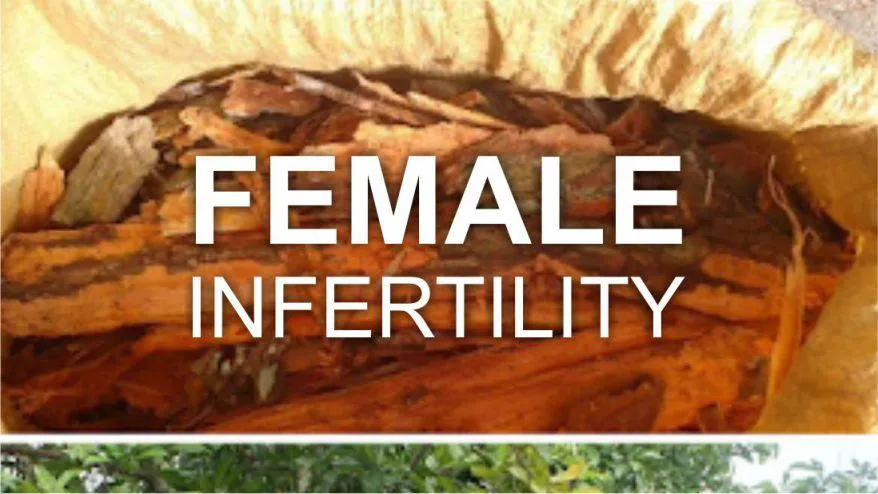 Infertility in women: Causes, Symptoms, and Treatment